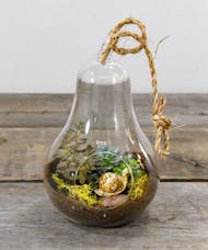 Pear Shaped Terrarium