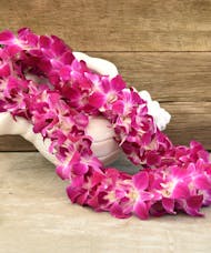 Fuchsia Orchid Lei - Available May 24th - June 15th