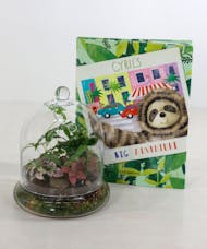 Sloth Cyril Gift Set