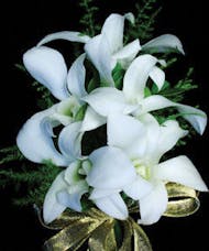 Five Dendrobium Orchids Rhinestone Wristlet