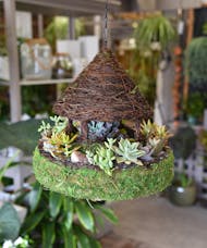 Succulent Birdhouse Gazebo