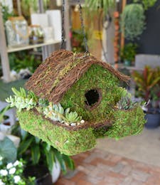 Succulent Patio Birdhouse