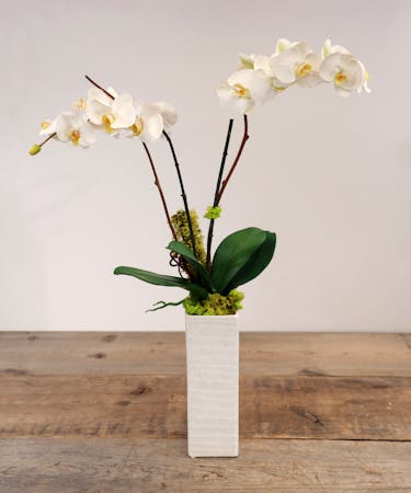 Silk Orchid in Ceramic Vessel
