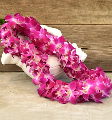 A Hawaiian Orchid Lei Double Dendrobium Lei Graduation