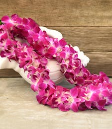 Double Fuchsia Orchid Lei - One Week Pre-order