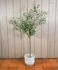 Faux Olive Tree, 5.5 Feet