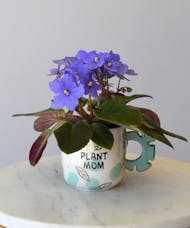 Plant Mom Mug with Plant