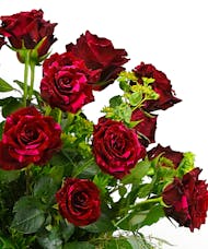 60 Luxurious Roses in Vase