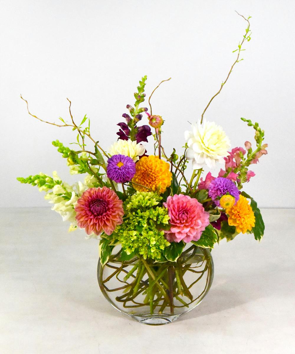 Summer Radiance Dahlia | San Mateo (CA) Floral Delivery ...