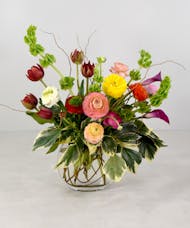 Spring Radiance, Ranunculus - Available Now to Feb. 8th