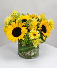 Sunflower Smile