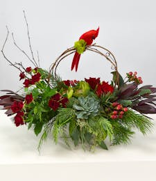 Holiday Charm Succulent