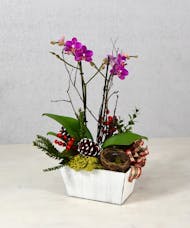 Make it Merry! Orchid Garden