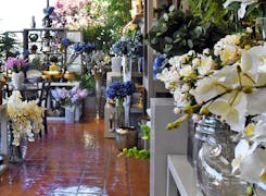 Floral arrangements and plants lining the interior of our showroom